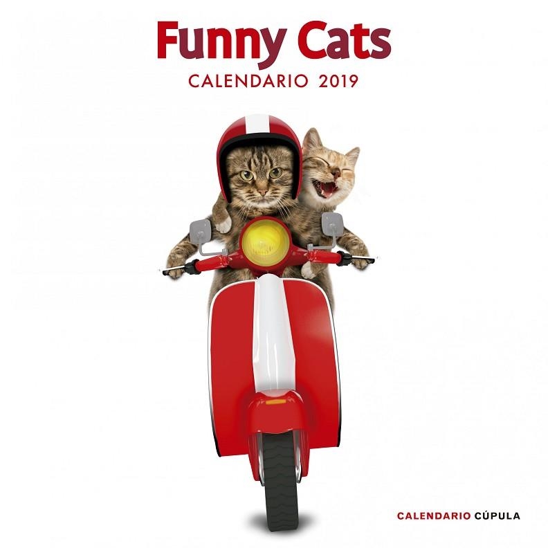 CALENDARIO FUNNY CATS 2019 | 9788448024628 |   | Libreria Geli - Librería Online de Girona - Comprar libros en catalán y castellano