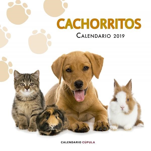 CALENDARIO CACHORRITOS 2019 | 9788448024673 | Libreria Geli - Librería Online de Girona - Comprar libros en catalán y castellano
