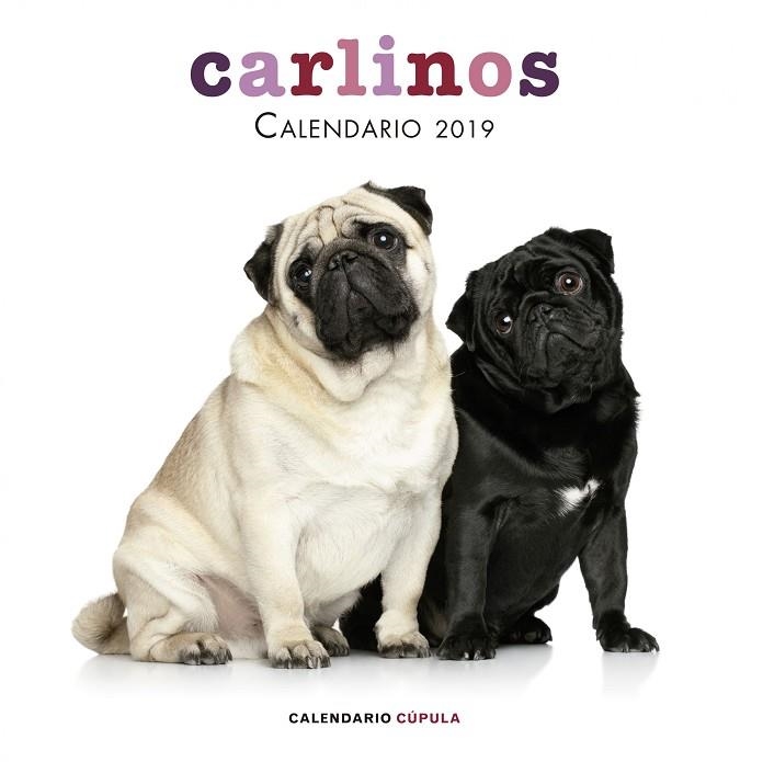 CALENDARIO CARLINOS 2019 | 9788448024680 |   | Libreria Geli - Librería Online de Girona - Comprar libros en catalán y castellano