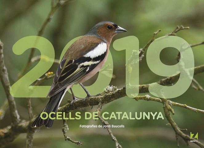 OCELLS DE CATALUNYA(CALENDARI 2019) | 9788409035465 | Libreria Geli - Librería Online de Girona - Comprar libros en catalán y castellano