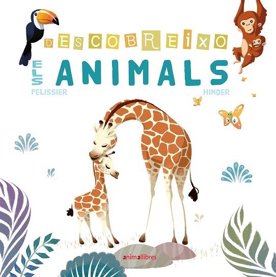 DESCOBREIXO ELS ANIMALS | 9788416844869 | PELISSIER,JÉRÔME/HINDER,CARINE | Libreria Geli - Librería Online de Girona - Comprar libros en catalán y castellano