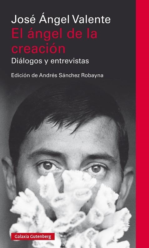 EL ÁNGEL DE LA CREACIÓN.DIÁLOGOS Y ENTREVISTAS | 9788417355708 | VALENTE,JOSÉ ÁNGEL | Libreria Geli - Librería Online de Girona - Comprar libros en catalán y castellano
