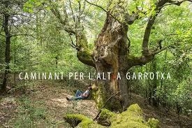 CAMINANT PER L'ALTRA GARROTXA | 9788480671606 | SERRA,ESTEVE | Libreria Geli - Librería Online de Girona - Comprar libros en catalán y castellano