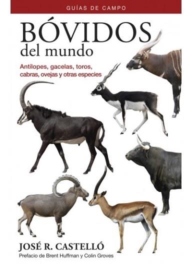 BÓVIDOS DEL MUNDO | 9788428216838 | CASTELLÓ,JOSÉ R. | Libreria Geli - Librería Online de Girona - Comprar libros en catalán y castellano