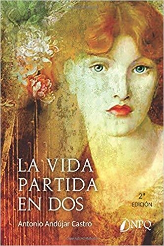 LA VIDA PARTIDA EN DOS | 9788494662751 | ANDUJAR CASTRO,ANTONIO | Libreria Geli - Librería Online de Girona - Comprar libros en catalán y castellano