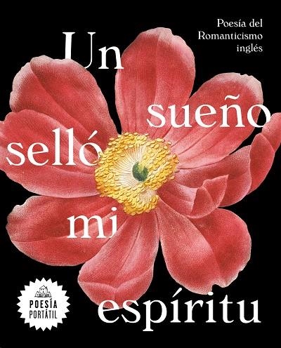 UN SUEÑO SELLÓ MI ESPÍRITU | 9788439735328 | A.A.D.D. | Libreria Geli - Librería Online de Girona - Comprar libros en catalán y castellano