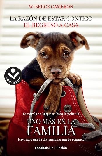 LA RAZÓN DE ESTAR CONTIGO.EL REGRESO A CASA | 9788416859351 | CAMERON,W. BRUCE | Libreria Geli - Librería Online de Girona - Comprar libros en catalán y castellano