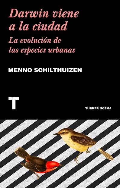 DARWIN VIENE A LA CIUDAD | 9788417141752 | SCHILTHUIZEN,MENNO | Libreria Geli - Librería Online de Girona - Comprar libros en catalán y castellano