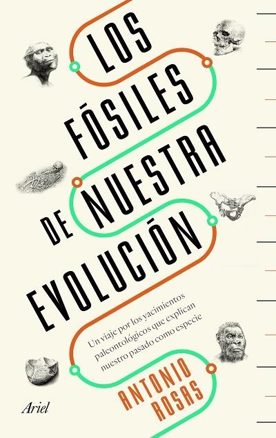 LOS FÓSILES DE NUESTRA EVOLUCIÓN | 9788434429642 | ROSAS,ANTONIO | Libreria Geli - Librería Online de Girona - Comprar libros en catalán y castellano