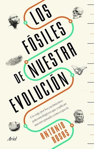 LOS FÓSILES DE NUESTRA EVOLUCIÓN | 9788434429642 | ROSAS,ANTONIO | Llibreria Geli - Llibreria Online de Girona - Comprar llibres en català i castellà