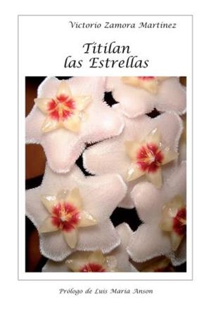 TITILAN LAS ESTRELLAS | 9788493760229 | ZAMORA MARTINEZ,VICTORIO | Libreria Geli - Librería Online de Girona - Comprar libros en catalán y castellano
