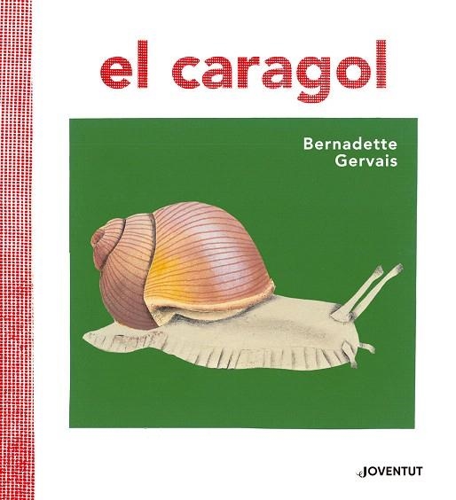 EL CARAGOL | 9788426145680 | GERVAIS,BERNADETTE | Libreria Geli - Librería Online de Girona - Comprar libros en catalán y castellano