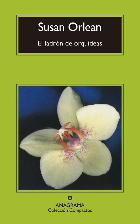 EL LADRÓN DE ORQUÍDEAS | 9788433960429 | ORLEAN,SUSAN | Libreria Geli - Librería Online de Girona - Comprar libros en catalán y castellano