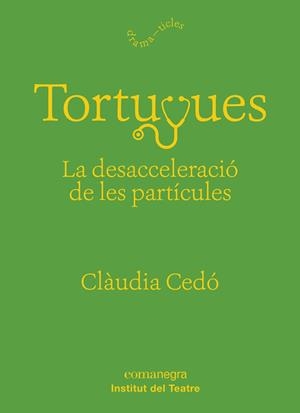 TORTUGUES.LA DESACCELERACIÓ DE LES PARTÍCULES | 9788417188863 | CEDÓ,CLÀUDIA | Libreria Geli - Librería Online de Girona - Comprar libros en catalán y castellano