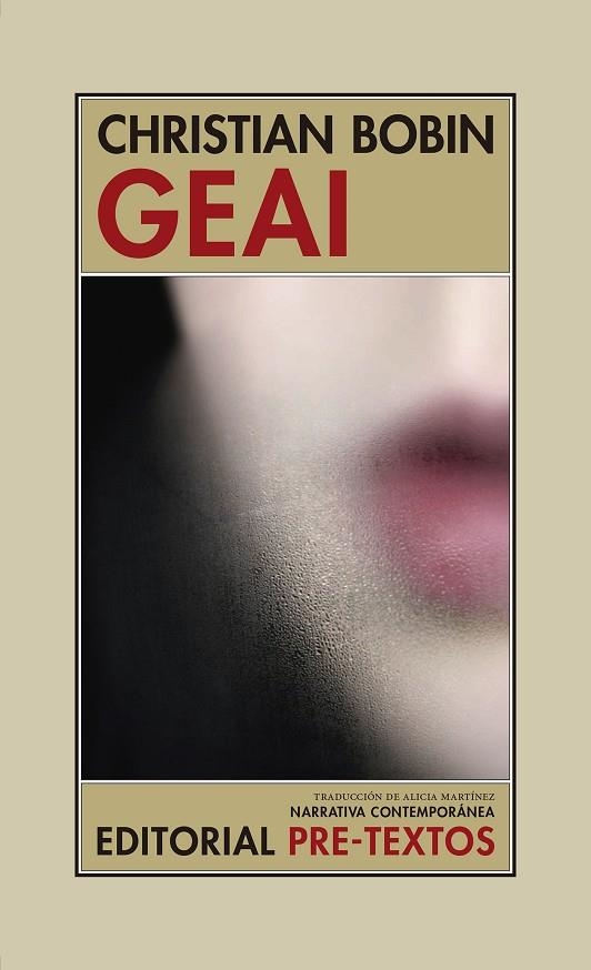 GEAI(LAS AVENTURAS DE UNA SONRISA) | 9788417830021 | BOBIN,CHRISTIAN | Libreria Geli - Librería Online de Girona - Comprar libros en catalán y castellano