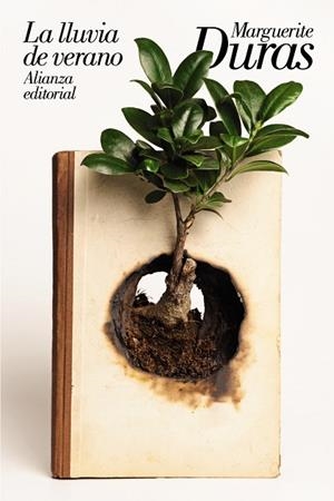 LA LLUVIA DE VERANO | 9788491814962 | DURAS,MARGUERITE | Llibreria Geli - Llibreria Online de Girona - Comprar llibres en català i castellà