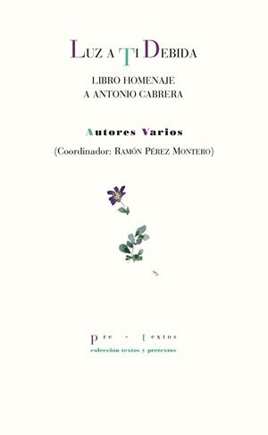 LUZ A TI DEBIDA.LIBRO HOMENAJE A ANTONIO CABRERA | 9788417143831 | A.A.D.D. | Libreria Geli - Librería Online de Girona - Comprar libros en catalán y castellano