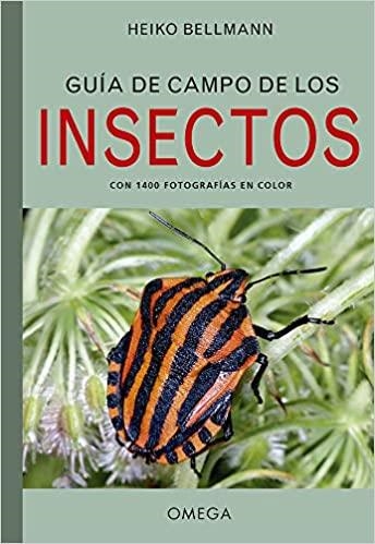GUÍA DE CAMPO DE LOS INSECTOS | 9788428217156 | BELLMANN,HEIKO | Libreria Geli - Librería Online de Girona - Comprar libros en catalán y castellano