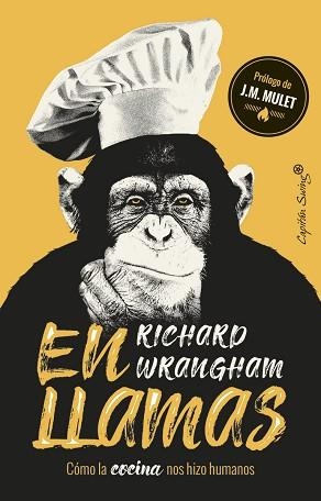 EN LLAMAS.CÓMO LA COCINA NOS HIZO HUMANOS | 9788494966873 | WRANGHAM,RICHARD | Llibreria Geli - Llibreria Online de Girona - Comprar llibres en català i castellà