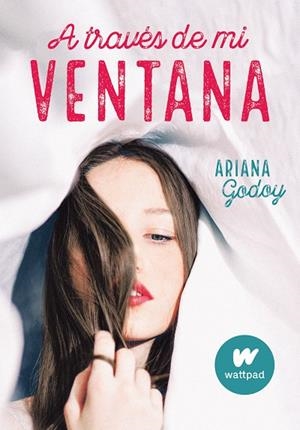 A TRAVÉS DE MI VENTANA(TRILOGIA HERMANOS HIDALGO 1) | 9788420451916 | GODOY,ARIANA | Llibreria Geli - Llibreria Online de Girona - Comprar llibres en català i castellà