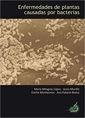 ENFERMEDADES DE PLANTAS CAUSADAS POR BACTERIAS | 9788468533025 | PALACIO BIELSA,ANA | Libreria Geli - Librería Online de Girona - Comprar libros en catalán y castellano