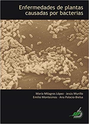 ENFERMEDADES DE PLANTAS CAUSADAS POR BACTERIAS | 9788468533025 | PALACIO BIELSA,ANA | Libreria Geli - Librería Online de Girona - Comprar libros en catalán y castellano