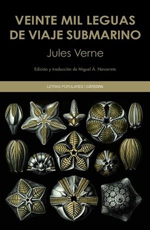 VEINTE MIL LEGUAS DE VIAJE SUBMARINO | 9788437640099 | VERNE,JULES | Llibreria Geli - Llibreria Online de Girona - Comprar llibres en català i castellà