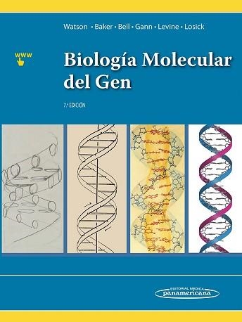 BIOLOGIA MOLECULAR DEL GEN(7ª EDICION 2016) | 9786079356897 | WATSON,JAMES D. | Libreria Geli - Librería Online de Girona - Comprar libros en catalán y castellano