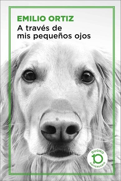 A TRAVÉS DE MIS PEQUEÑOS OJOS | 9788417761042 | ORTIZ PULIDO,EMILIO | Llibreria Geli - Llibreria Online de Girona - Comprar llibres en català i castellà