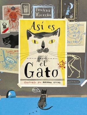 ASÍ ES EL GATO | 9788494992605 | WIERZBA,PAULINA | Libreria Geli - Librería Online de Girona - Comprar libros en catalán y castellano