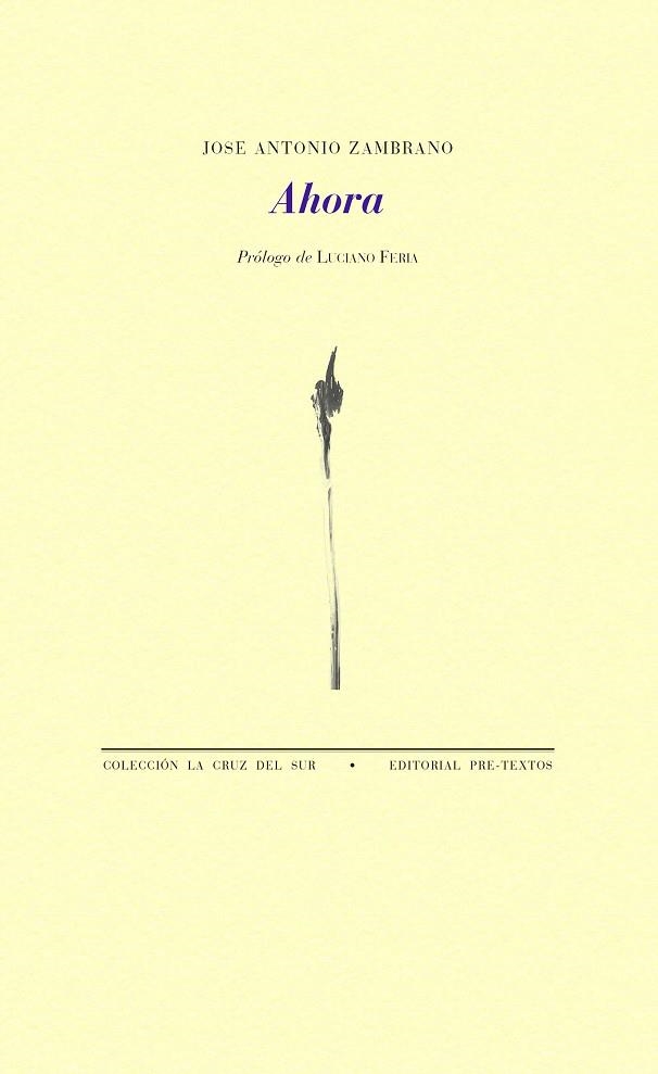 AHORA | 9788417830175 | ZAMBRANO,JOSÉ ANTONIO | Llibreria Geli - Llibreria Online de Girona - Comprar llibres en català i castellà