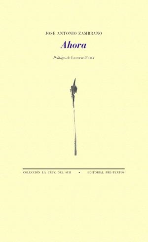 AHORA | 9788417830175 | ZAMBRANO,JOSÉ ANTONIO | Llibreria Geli - Llibreria Online de Girona - Comprar llibres en català i castellà