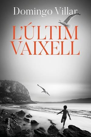 L'ÚLTIM VAIXELL | 9788466425490 | VILLAR,DOMINGO | Libreria Geli - Librería Online de Girona - Comprar libros en catalán y castellano