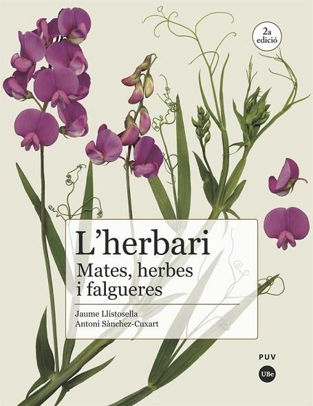 L'HERBARI.MATES,HERBES I FALGUERES(2ª EDICIO) | 9788491682981 | SÀNCHEZ CUXART,ANTONI/LLISTOSELLA VIDAL,JAUME | Libreria Geli - Librería Online de Girona - Comprar libros en catalán y castellano