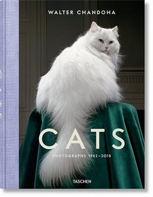 WALTER CHANDOHA.CATS.PHOTOGRAPHS 1942–2018 | 9783836573856 | MICHALS,SUSAN | Libreria Geli - Librería Online de Girona - Comprar libros en catalán y castellano