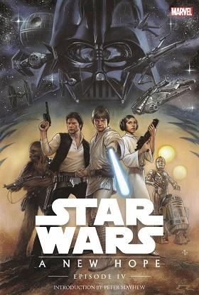 STAR WARS.UNA NUEVA ESPERANZA | 9788491469032 | Llibreria Geli - Llibreria Online de Girona - Comprar llibres en català i castellà