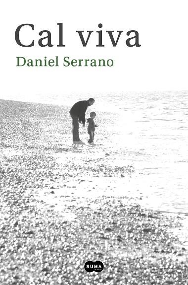 CAL VIVA | 9788491293675 | SERRANO,DANIEL | Llibreria Geli - Llibreria Online de Girona - Comprar llibres en català i castellà