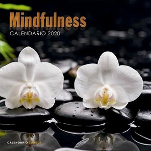 CALENDARIO MINDFULNESS 2020 | 9788448026110 | Llibreria Geli - Llibreria Online de Girona - Comprar llibres en català i castellà