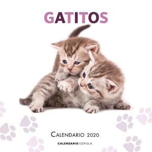 CALENDARIO GATITOS 2020 | 9788448026165 | Llibreria Geli - Llibreria Online de Girona - Comprar llibres en català i castellà