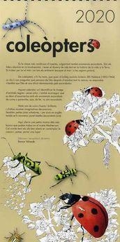 COLEÒPTERS(CALENDARI 2020) | 7427020037060 | VALVERDE,RAMON | Libreria Geli - Librería Online de Girona - Comprar libros en catalán y castellano