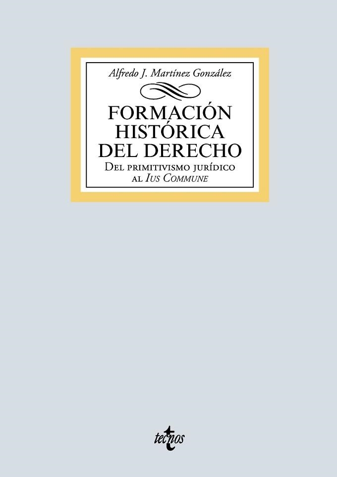 FORMACIÓN HISTÓRICA DEL DERECHO.DEL PRIMITIVISMO JURÍDICO AL IUS COMMUNE | 9788430978410 | MARTÍNEZ GONZÁLEZ,ALFREDO JOSÉ | Llibreria Geli - Llibreria Online de Girona - Comprar llibres en català i castellà