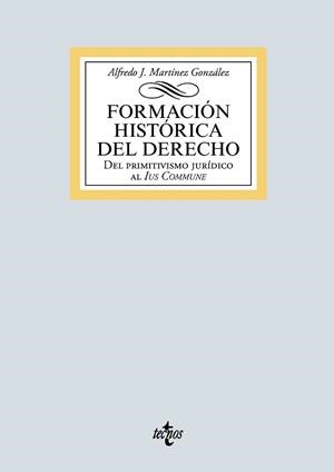 FORMACIÓN HISTÓRICA DEL DERECHO.DEL PRIMITIVISMO JURÍDICO AL IUS COMMUNE | 9788430978410 | MARTÍNEZ GONZÁLEZ,ALFREDO JOSÉ | Libreria Geli - Librería Online de Girona - Comprar libros en catalán y castellano