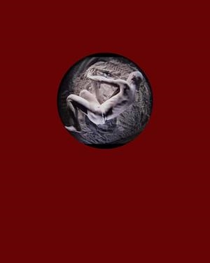 THE VOID | 9788417866075 | SCHOLZ,WOLFGANG H. | Llibreria Geli - Llibreria Online de Girona - Comprar llibres en català i castellà