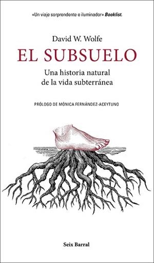 EL SUBSUELO.UNA HISTORIA NATURAL DE LA VIDA SUBTERRÁNEA | 9788432235603 | WOLFE,DAVID W. | Llibreria Geli - Llibreria Online de Girona - Comprar llibres en català i castellà