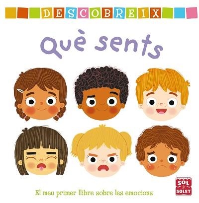 DESCOBREIX QUÈ SENTS | 9788499063003 | Llibreria Geli - Llibreria Online de Girona - Comprar llibres en català i castellà