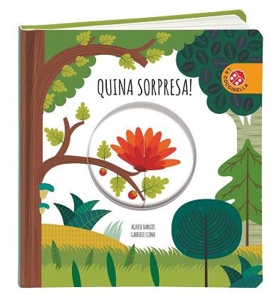 QUINA SORPRESA! | 9788868909086 | BARUZZI,AGNESE/CLIMA,GABRIELE | Libreria Geli - Librería Online de Girona - Comprar libros en catalán y castellano