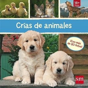CRIAS DE ANIMALES | 9788467574357 | Libreria Geli - Librería Online de Girona - Comprar libros en catalán y castellano