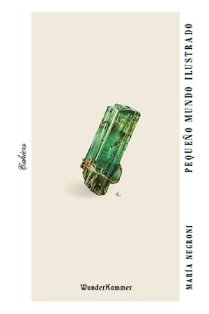 PEQUEÑO MUNDO ILUSTRADO | 9788494972560 | NEGRONI,MARÍA | Llibreria Geli - Llibreria Online de Girona - Comprar llibres en català i castellà