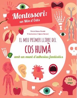 EL MEU PRIMER LLIBRE DEL COS HUMA  | 9788468250052 | PIRODDI,CHIARA | Llibreria Geli - Llibreria Online de Girona - Comprar llibres en català i castellà