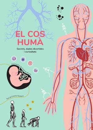 EL COS HUMA.SECRETS,DADES DIVERTIDES I CURIOSITATS | 9788468268361 | PERABONI,CRISTINA | Llibreria Geli - Llibreria Online de Girona - Comprar llibres en català i castellà